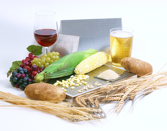 Wedge Wire flat panel and sieve bend screen for Food process